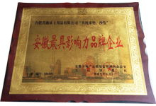 君薇被评为“安徽最具影响力品牌企业”