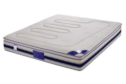 共枕芦荟纤维天然乳胶床垫 1.2米床垫
